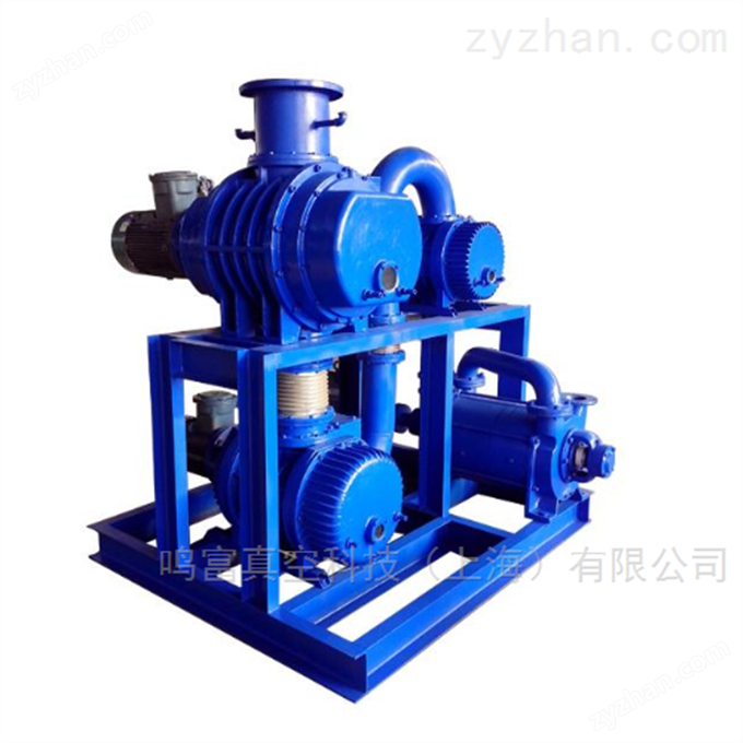 上海分子泵機(jī)組生產(chǎn)廠家 真空泵