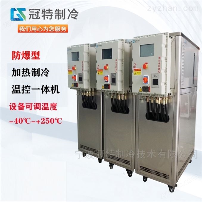 高低溫加熱制冷循環泵