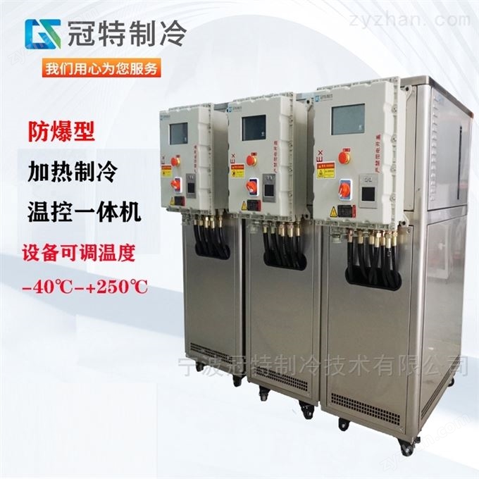 高低溫加熱制冷循環泵